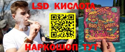spice Славгород