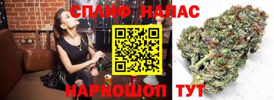 бошки Сланцы