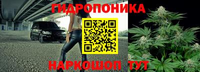 бошки Сланцы